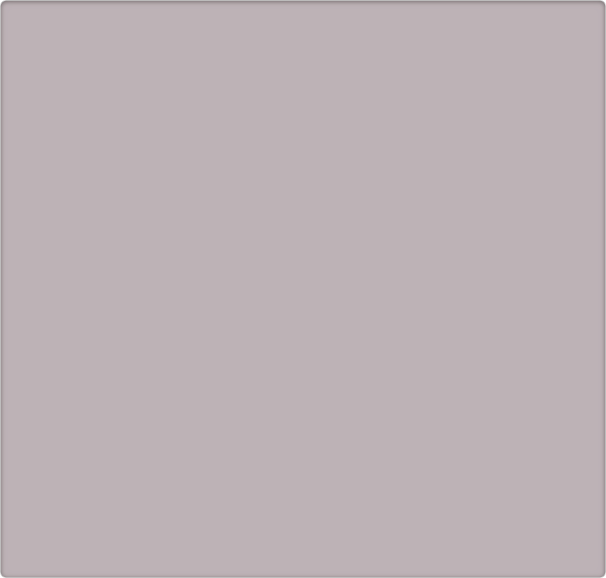 Websites by Jaimie Website Construction- Starter Price